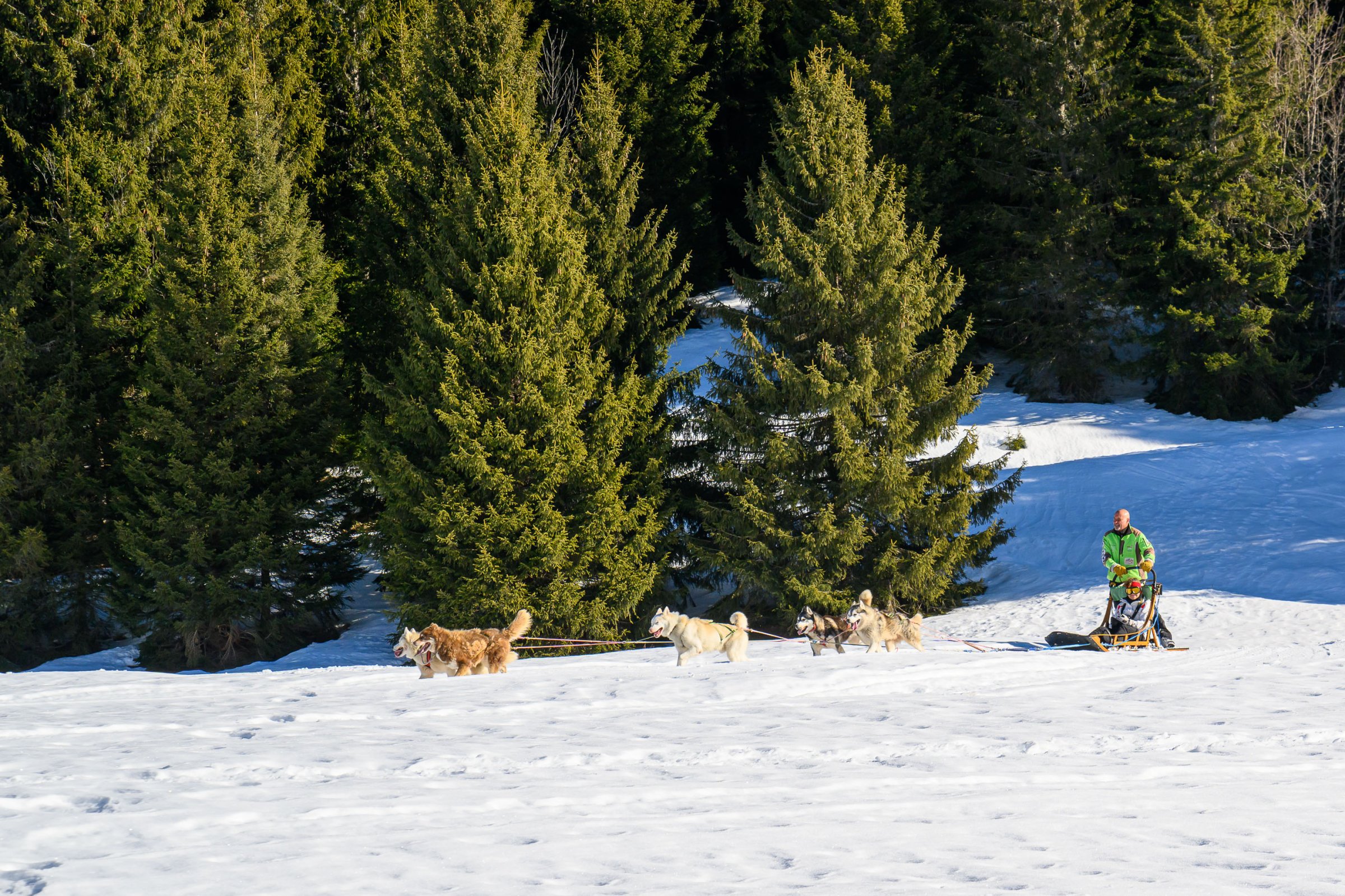 2025-01-21-Le_praz_de_lys