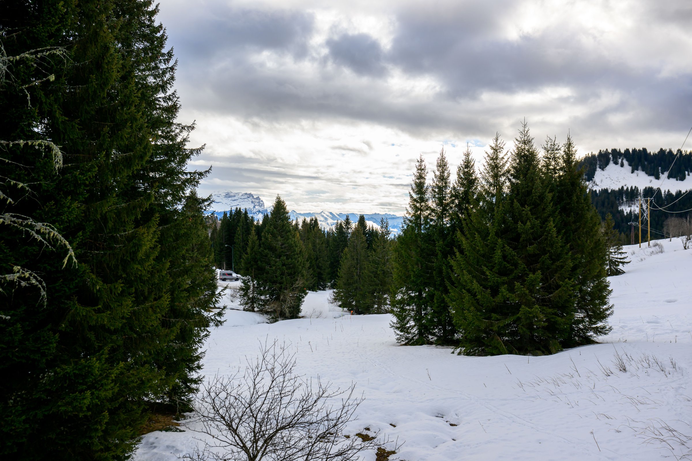 2025-01-22-Le_praz_de_lys-2