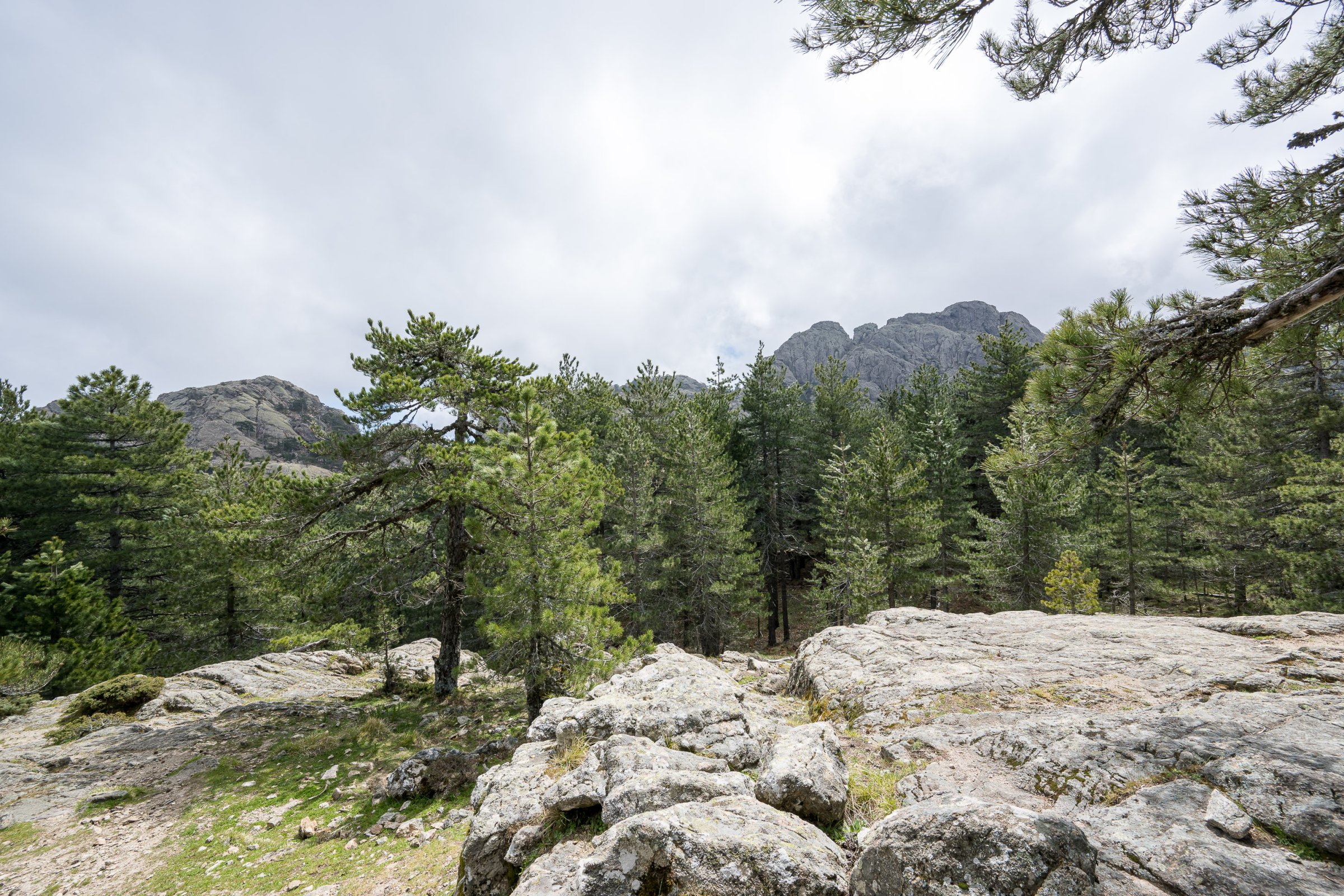 23-04-26-cinquieme jour 38-web