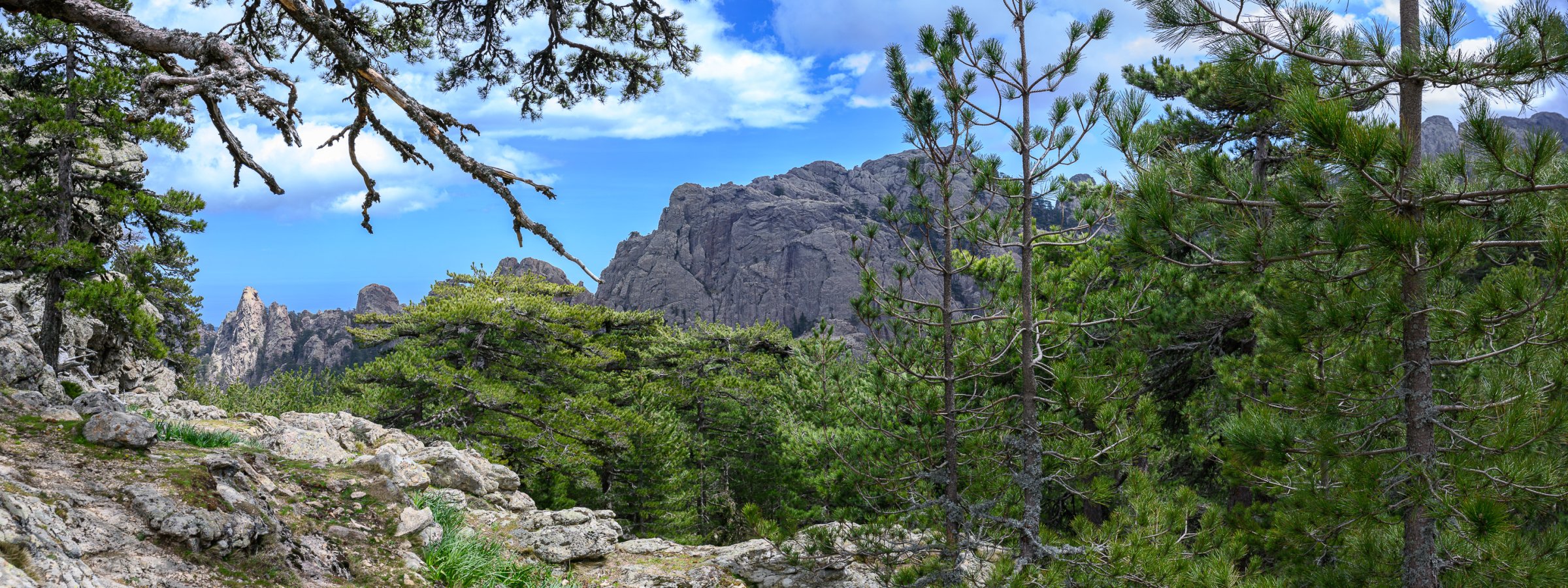 23-04-26-cinquieme jour 50-Panorama-web